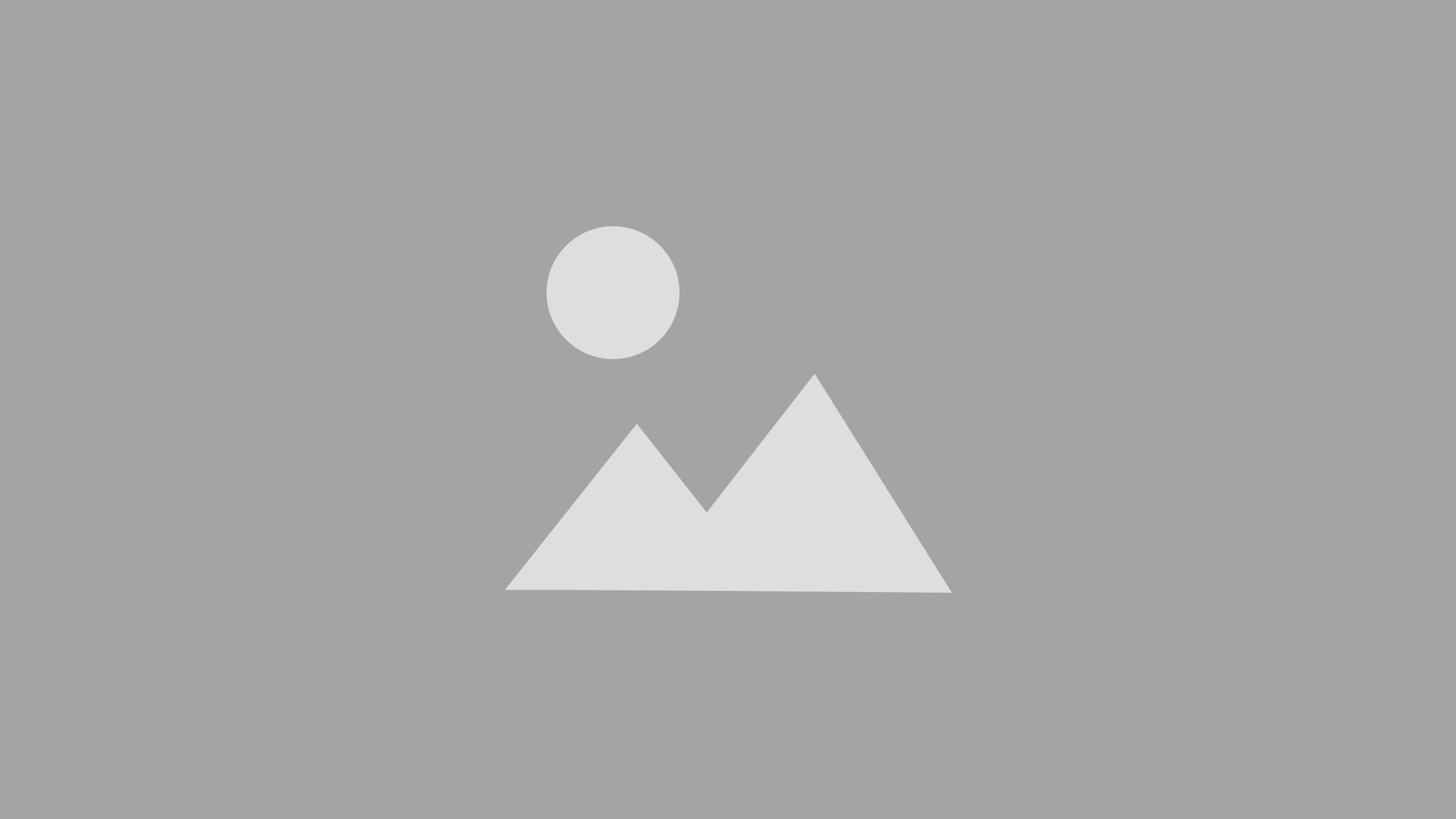 leiner_wolff_logo